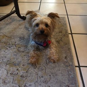 Meet your Posher, Macaria